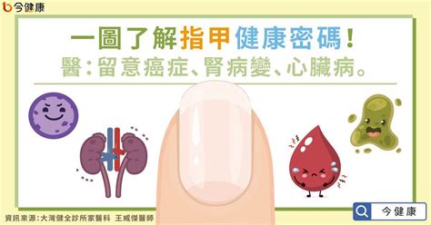 腳指甲|一張圖讀懂指甲健康密碼 醫：5種指甲異常盡速就醫｜ 